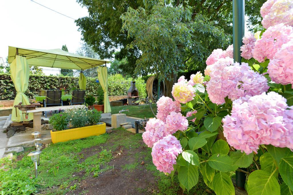 Apartment Mirana With Garden And Free Parking Zadar Room photo