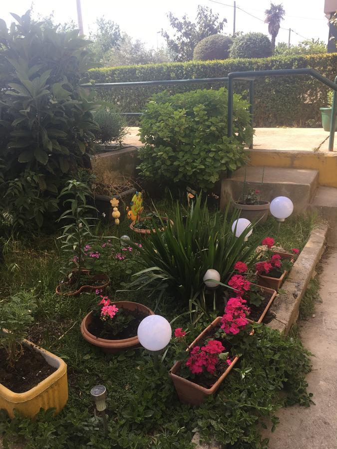 Apartment Mirana With Garden And Free Parking Zadar Exterior photo