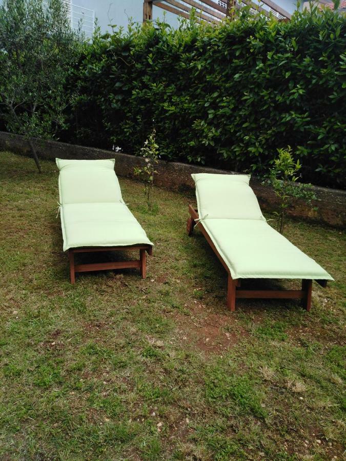 Apartment Mirana With Garden And Free Parking Zadar Exterior photo
